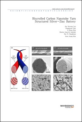Biscrolled Carbon Nanotube Yarn Structured Silver-Zinc Battery